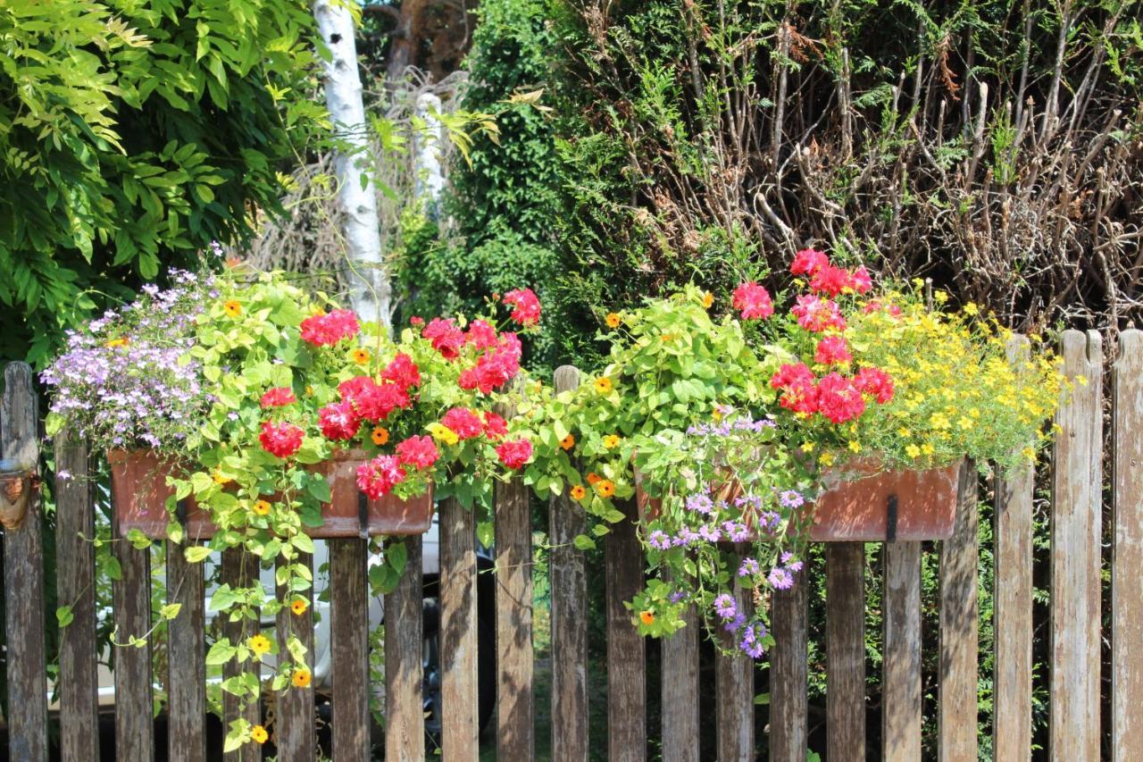 B&B La Tete Dans Les Etoiles Weyersheim Exterior photo